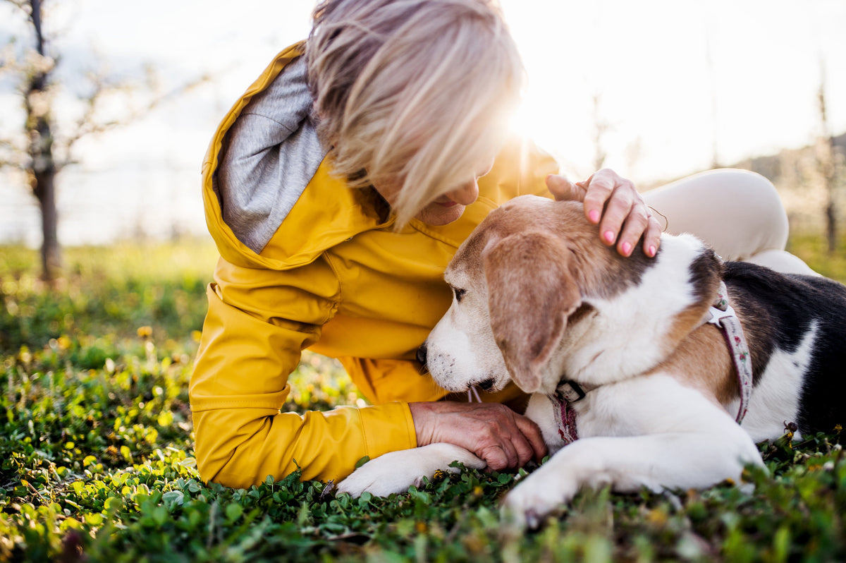 Cherishing Memories: A Guide to Pet Cremation Jewelry - Blog ...